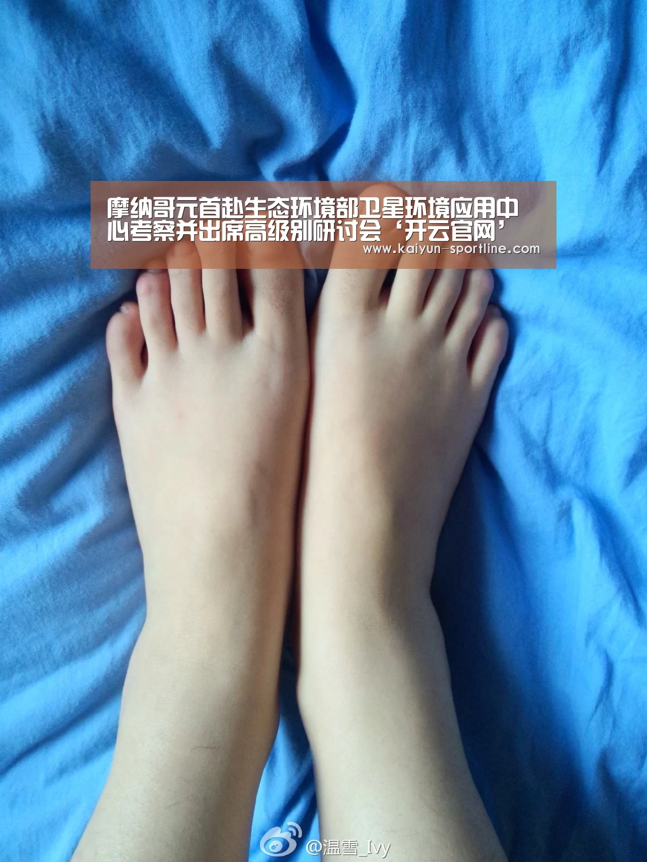 赛事数据
